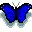 papillon qui bouge